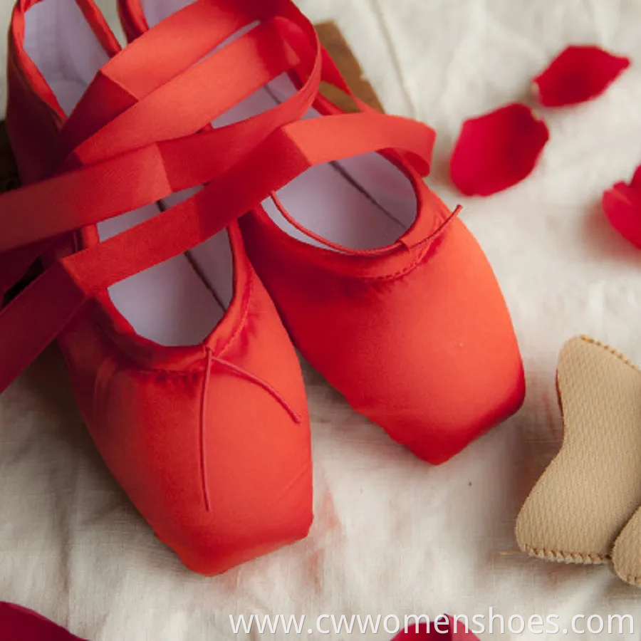 Pointe Shoes Ballet Dance Toe Shoes Soft Wbb13805